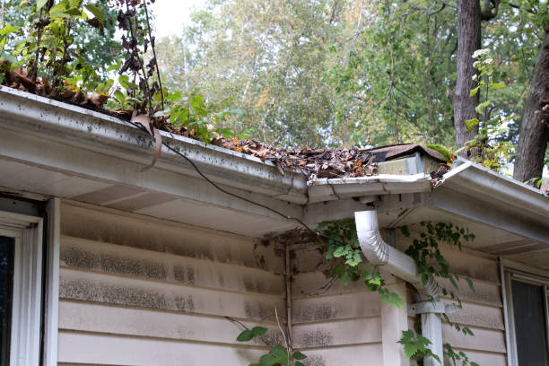 Clogged, sagging gutter pulling away from the fascia and staining the siding.